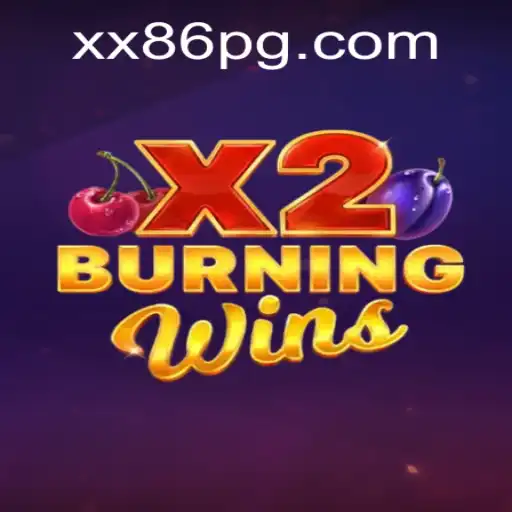 Exploring the Features and Rules of BurningWinsX2
